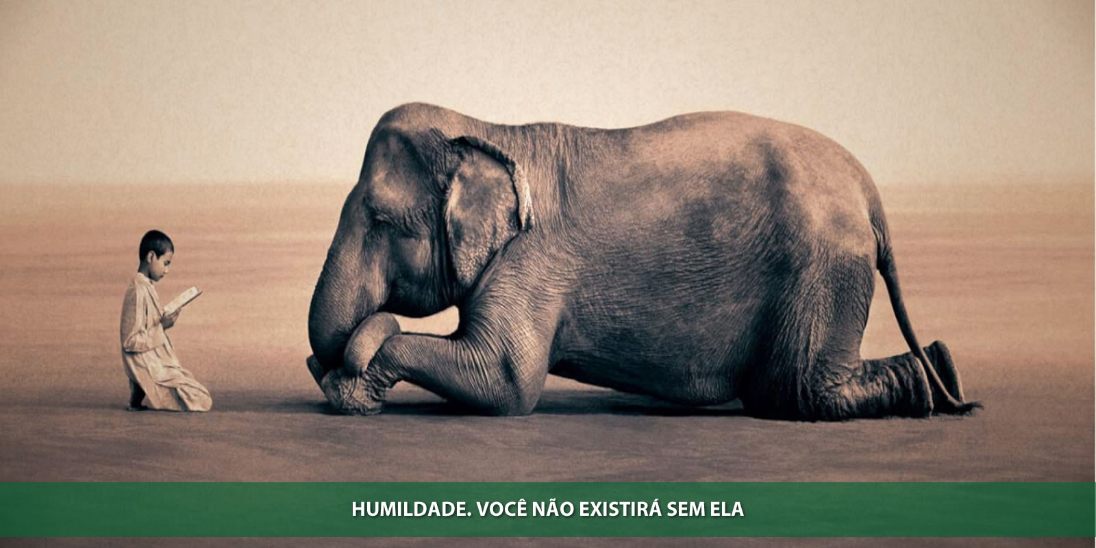 HUMILDADE. A CHAVE DO CRESCIMENTO HUMANO